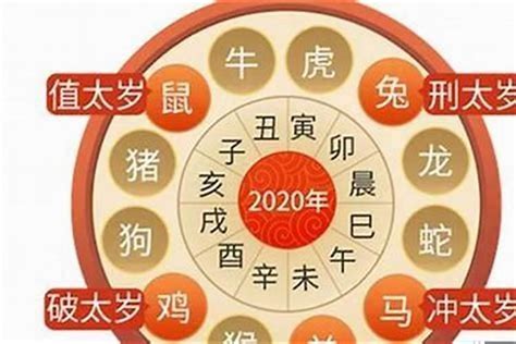 2023属虎|属虎的人2023年全年运程运势